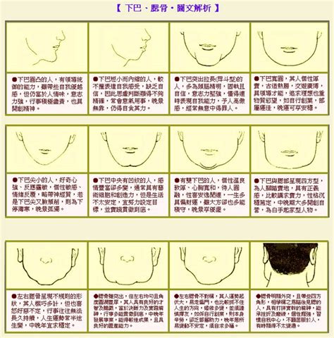 下巴長面相|面相大全——下巴